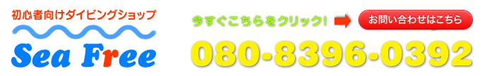 沖縄の初心者向けダイビングショップ Sea Free（シーフリー）