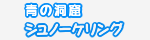 ナビ画像
