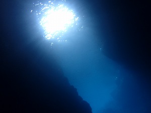 青の洞窟内ダイビング