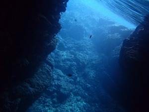 青の洞窟シュノーケリング水中