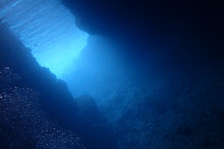 ファンダイビングしたポイントは神秘的な光がさす青の洞窟