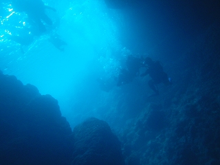 青の洞窟ダイビングブルー