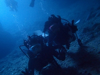 青の洞窟ダイビング