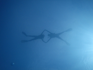 水中からシュノーケリング写真