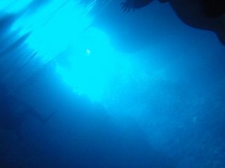 青の洞窟シュノーケリング　きれい～！